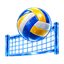 Volleyball